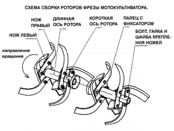 Штатная фреза мотокультиватора МК-1А «Крот»